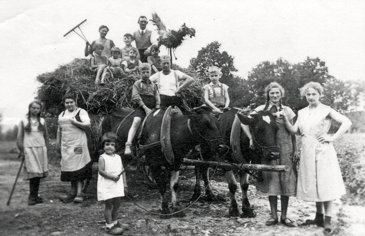 Erntewagen als Abschluss Hellberg