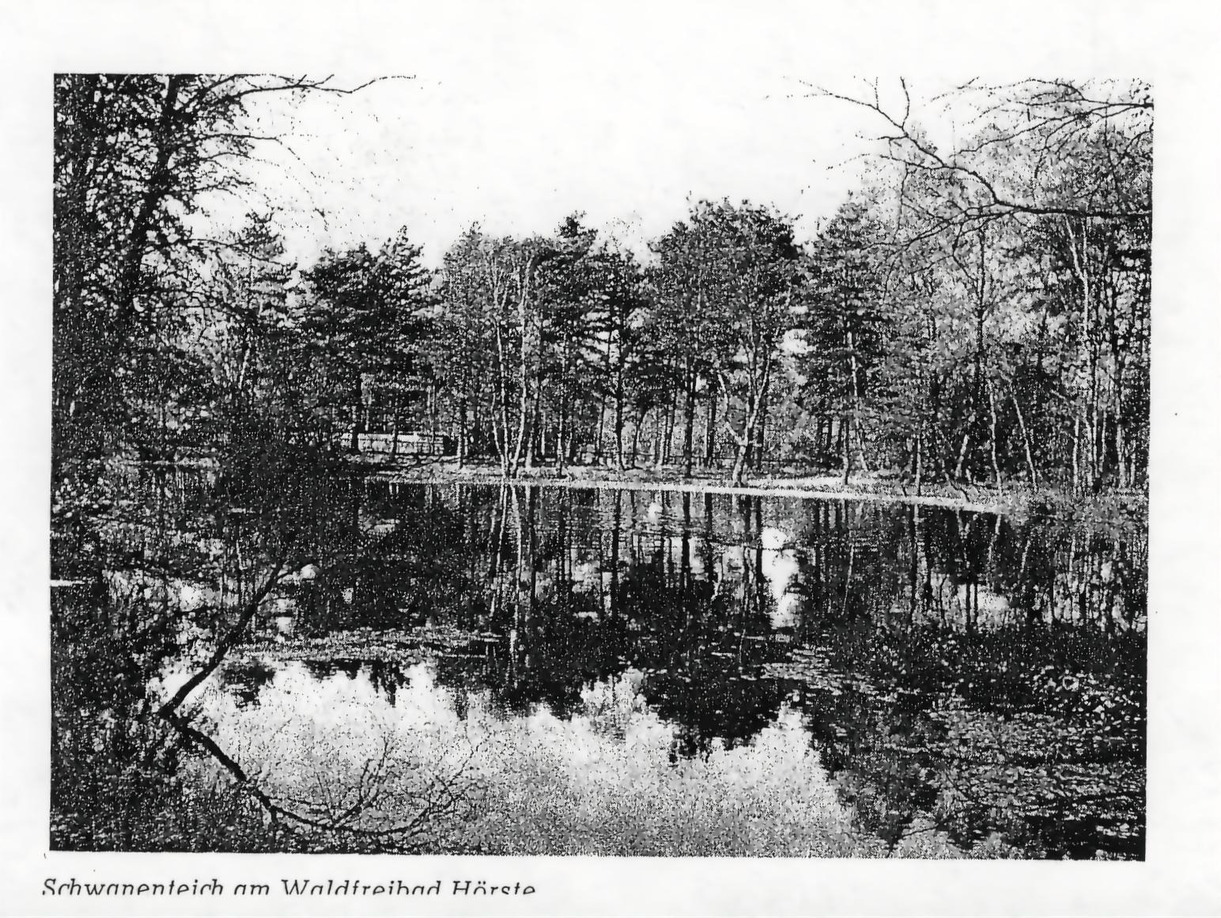 Schwanenteich am Waldfreibad Schnitger