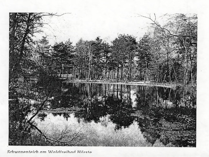 Schwanenteich am Waldfreibad Schnitger