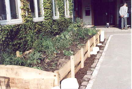 neue Schule Kräuterbeet 1999