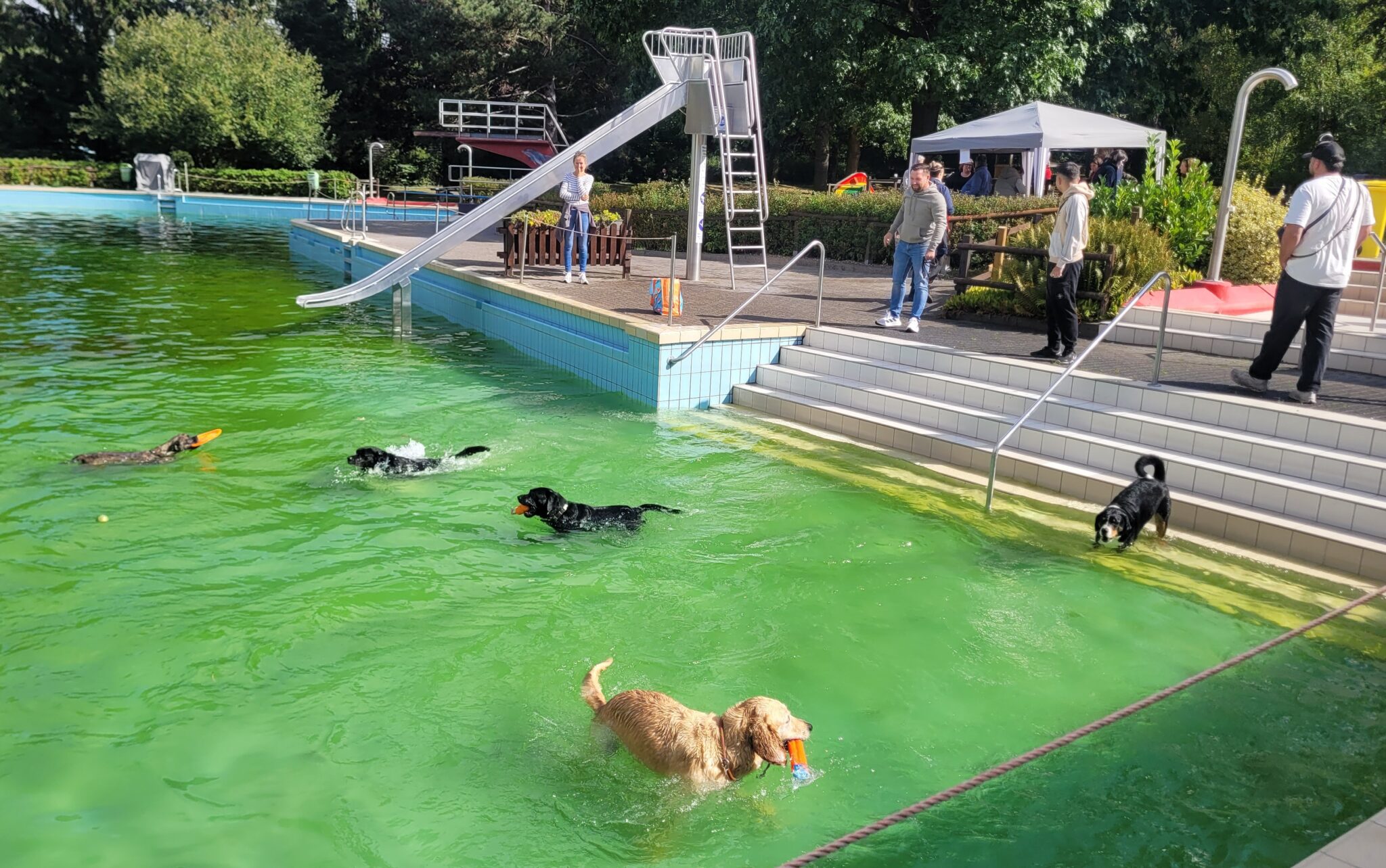 20250914_114643-2-2048x1283