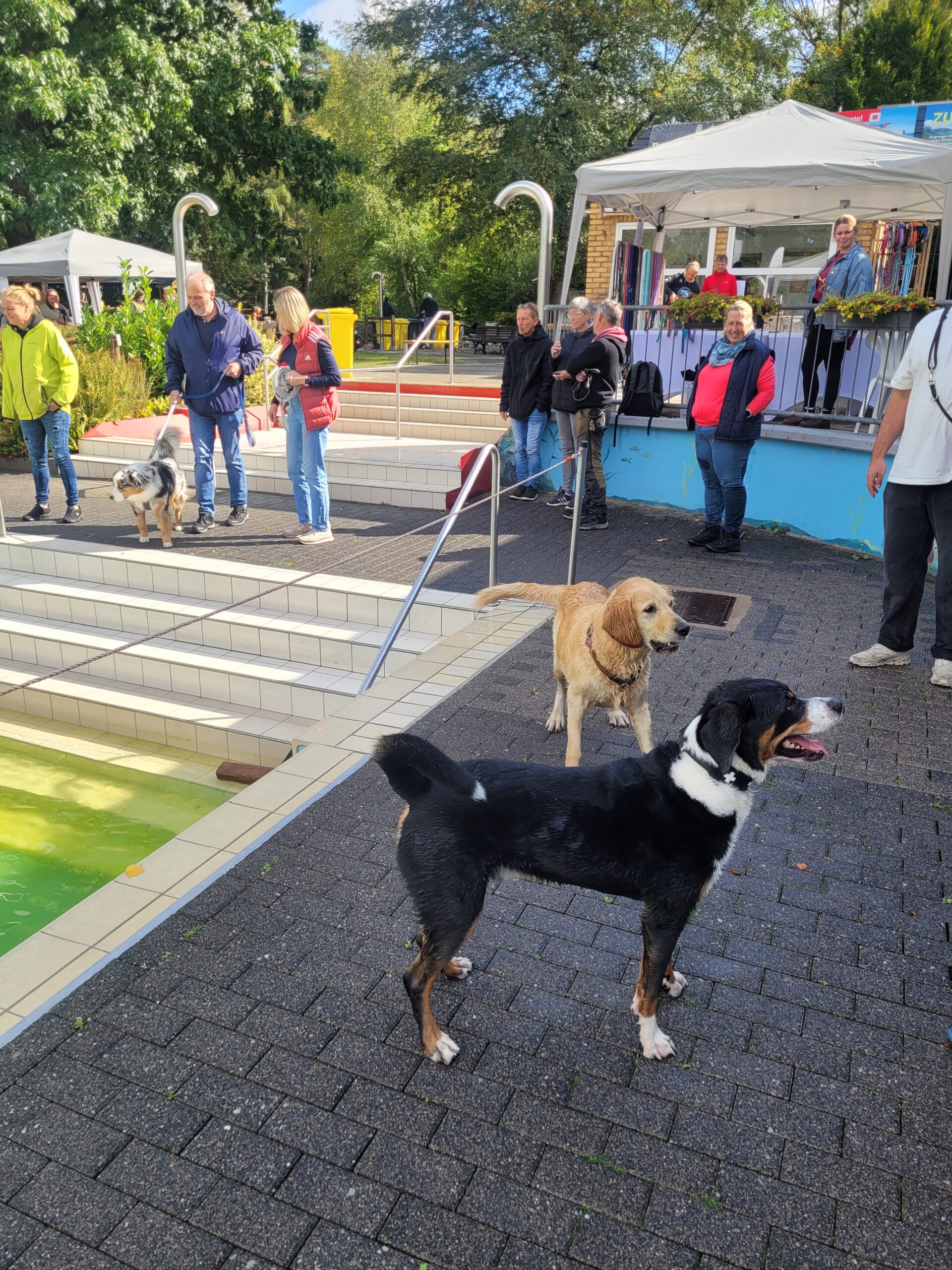 20250914_114732-scaled